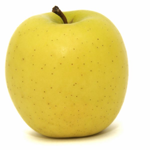 Pommes Golden (500 gr) - Le potager du bien manger